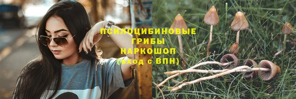 прущие грибы Алексин