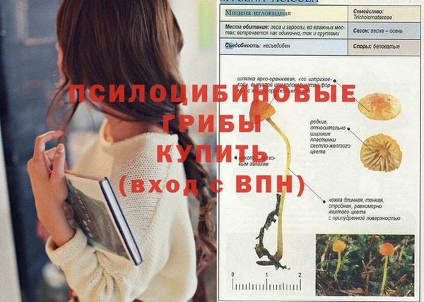 apvp Новокубанск