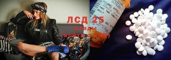 прущие грибы Алексин